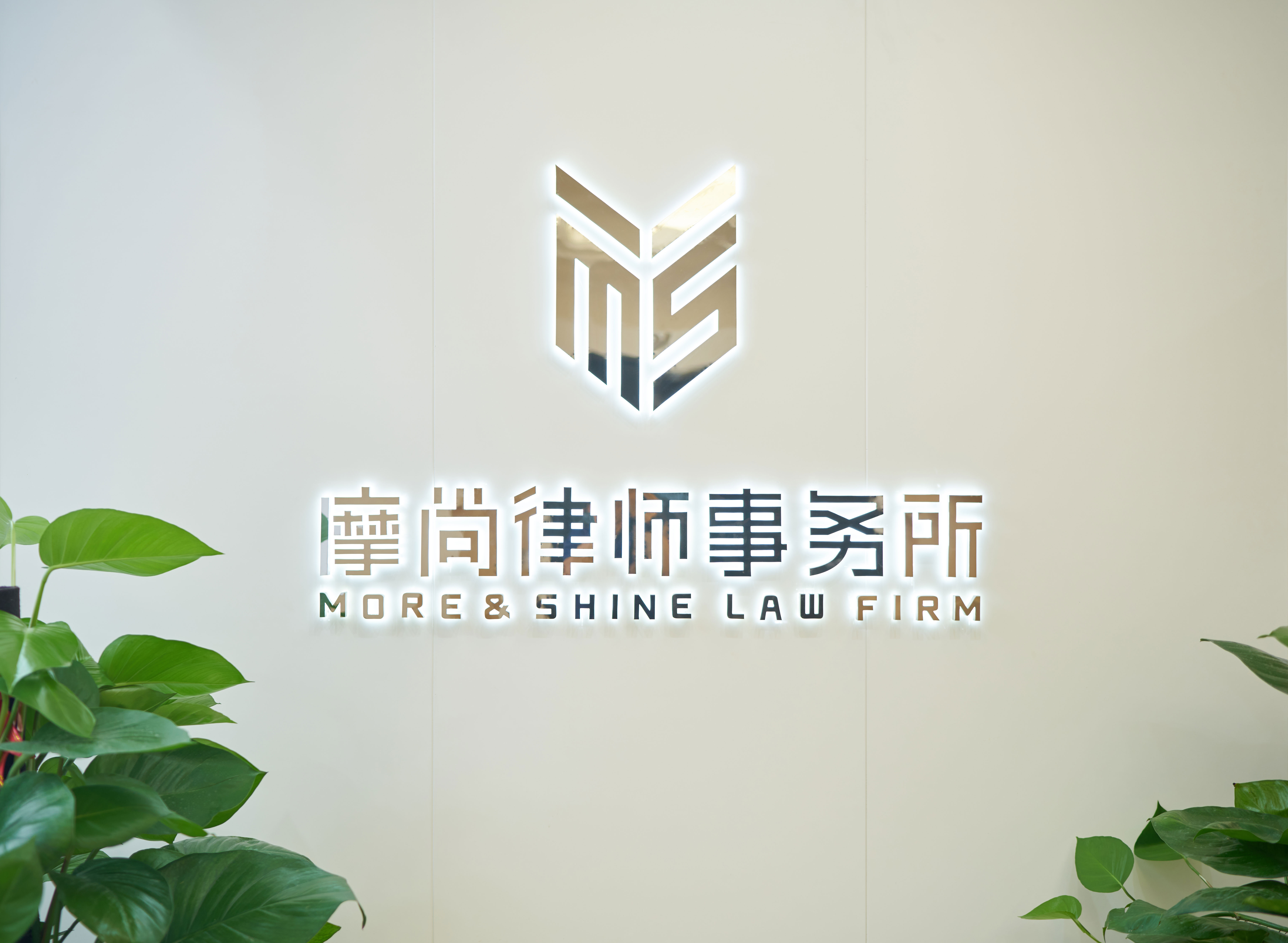 法律有光  摩尚同行